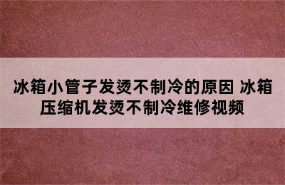 冰箱小管子发烫不制冷的原因 冰箱压缩机发烫不制冷维修视频